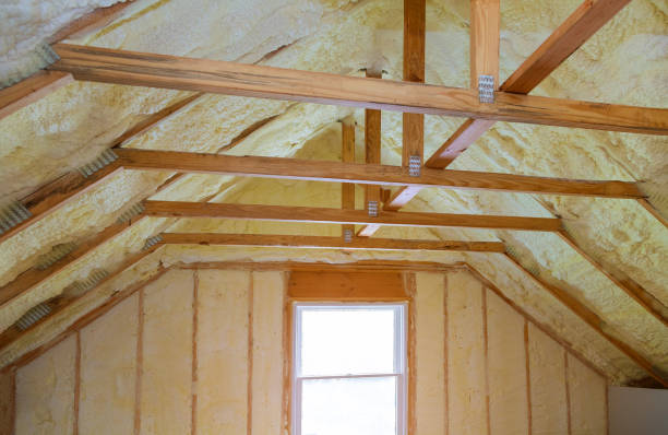 Best Insulation for Specific Applications in Dawsonville, GA