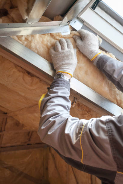 Best Residential Insulation in Dawsonville, GA