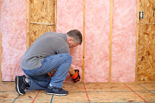 Best Insulation Installation Services in Dawsonville, GA